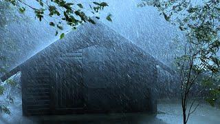 Sleep Immediately with Powerful Rainstorm & Heavy Wind and Chaotic Thunder on a Tin Roof at Night