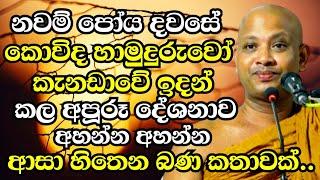 කොවිද හාමුදුරුවෝ කැනඩාවේ ඉදන් කරපු අපූරූ දේශනාව  Boralle Kovida Thero Bana 2024  Bana 2024 new