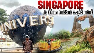 Universal Studios Singapore  Singapore Trip in Telugu  Singapore To Malaysia  Telugu Traveller