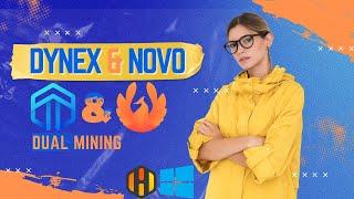 Dynex DNX and Novocoin NOVO Dual Mining Tutorial