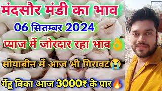 मंदसौर मंडी भाव  mandsaur Mandi Bhav  Today Mandi Rate  Soybean Rate  Pyaj Rate  Wheat Price