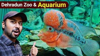 Dehradun  Dehradun zoo  Dehradun Aquarium  Dehradun ka chidiyaghar  Dehradun Tourist Places