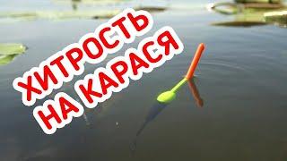 РЫБАЛКА на КАРАСЯ Лучшая насадка на карася - РВАНЫЙ КРАСНЫЙ