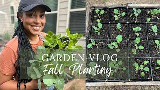 Plant Collard Greens Broccoli Kale and Brussels Sprouts with Me  Fall Garden 2022 - Zone 8A