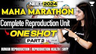 Complete Reproduction- 2 Sexual Reproduction in Flowering Plant - One Shot NEET 2024  Seep Pahuja