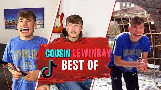 BEST OF Lewinray Cousin TikToks