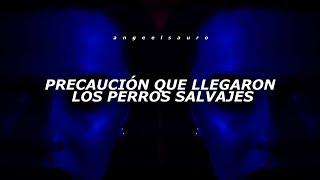 Perros Salvajes - Daddy Yankee Letra