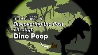 Discovering the Past Through Dino Poop