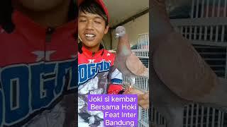 Merpati balap Tito Hoki Bandung #shorts #pigeon