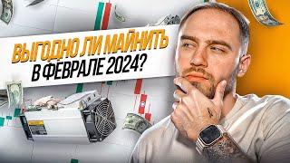 СКОЛЬКО МОЖНО ЗАРАБОТАТЬ НА МАЙНИНГЕ? отчет за февраль 2024