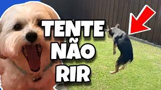 TENTE NÃO RIR OS MELHORES VÍDEOS DA INTERNET #videosengraçados #tentenaorir #comedia #tiktok #like