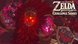 STRAIGHT TO GANON Breath of the Wild Challenge Series