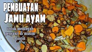 Pembuatan Jamu Untuk Mengatasi Penyakit pada ayam Di Musim Dingin