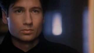 David Duchovny 7 - Burning In Love