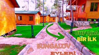 BUNGALOV EVLERİ  bir doğa harikası Ş.URFA BOZOVA #bungalov #ahşapev #doğa