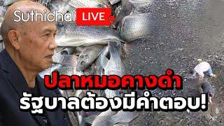 ปลาหมอคางดำรัฐบาลต้องมีคำตอบ Suthichai Live 25-7-2567