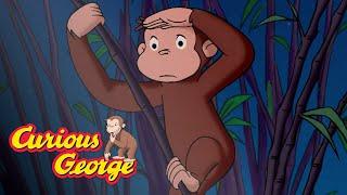 George at the Zoo Curious George Compilation Kids Movies Videos for Kids