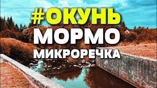 #64 ОКУНИ повсюду  МИКРОРЕЧКА  #мормышинг #nanojig #fishing #рыбалка