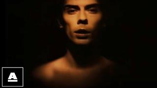 Peter Murphy - Hit Song HD