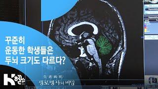 생로병사의 비밀 300회 특집 - 꾸준히 운동한 학생들은 두뇌 크기도 다르다?