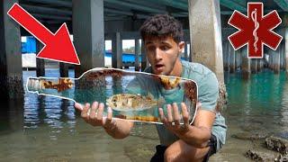 Rescuing PUFFERFISH TRAPPED In TRASH