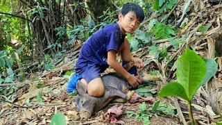 FULL VIDEO 15 days Wandering boy Bac sets traps to catch fish wild boars and turtles to sell.