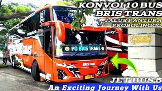 SEGANTENG INI JB 5 BRIS TRANS  KONVOI 10 BUS BRIS TRANS RAMAIKAN PANTURA PROBOLINGGO