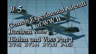 German Experimental Aircraft of World War II #5 Bachem and Blohm und Voss pt 1