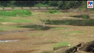 കാളികാവ് പരിയങ്ങാടന്‍ പുഴ വരള്‍ച്ചയിലേക്ക് Malappuram Kalikavu River draught