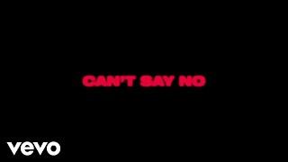 Wild Youth - Cant Say No