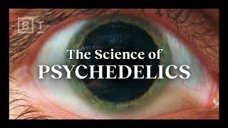 How psychedelics work explained in under 6 minutes  Matthew Johnson
