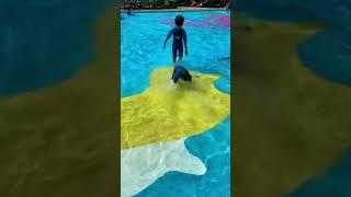 Enjoying in water park wetsuitkonfidenceuk #shorts #viralshorts #ytshorts #fyp #themepark