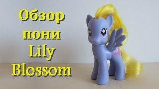 MLP  Lily Blossom  Обзор пони Лили Блоссом  Melanie Breise