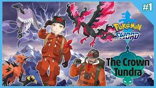 【POKEMON SWORD THE CROWN TUNDRA】PART TWO Chasing dreams and birds