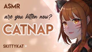 Catnap ASMR  Are you kitten now? ᐠ｡ꞈ｡ᐟ\