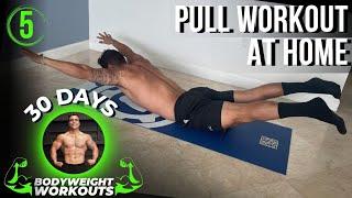 At Home Pull Workout  30 Days of Bodyweight Workouts to Gain Muscle and Burn Fat - Day 5