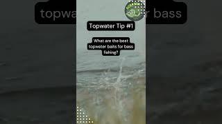 Secrets for Catching Bass with Topwater Lures Tip #fishing #fishingtips #bassfishing