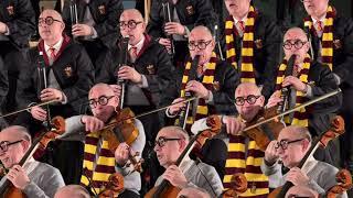 Hedwigs Theme - Harry Potter - John Williams