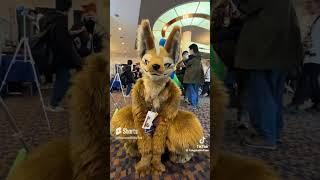 10 minutes of cute furries 3 #4