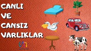 Canlı ve Cansız Varlıklar  Okul Öncesi  Canlı ve Cansız Kavramı