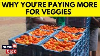 Why Tomato Prices Are On The Rise When Will They Come Down?  English News  Mosoon Delay  News18