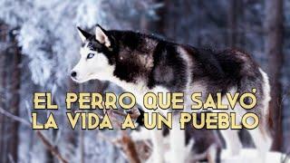 Balto el perro que salvó la vida a todo un pueblo.