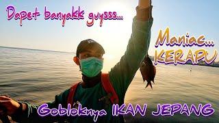 Mancing Kerapu di JEPANG dapat Banyak