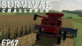 SUNNY FLOWERS  Survival Challenge  Series 1 Farming Simulator 22 - EP 67