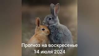 2024.07.14  Ежедневная рубрика Астрологический прогноз.  #астропрогноздлявсех #гороскоп #бацзы 