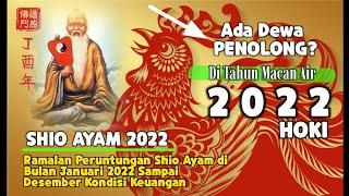 Ramalan Peruntungan Shio Ayam  di Bulan Januari 2022  Sampai Desember  Kondisi Keuangan & Rejeki