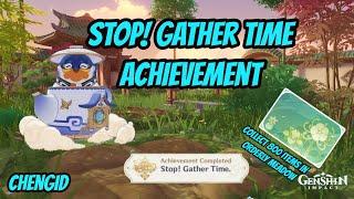 Stop Gather Time 100% Complete Achievement -  A Realm Beyond  Series III - Genshin Impact