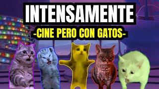 INTENSAMENTE  cine pero con gatos meme de gatos