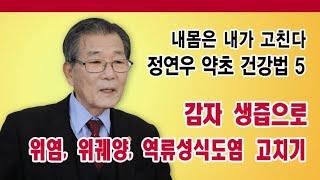 내 몸은 내가 고친다 15 정연우 약초 건강법 5 감자 생즙으로 위염 위궤양 역류성식도염 고치기