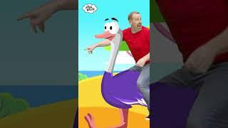 Steve and Maggies Safari Animal Islands Adventure #shorts #steveandmaggie